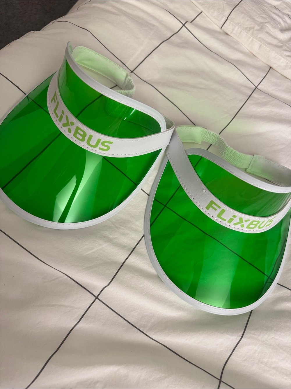 FlixBus Green Visor Pair